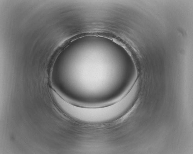 X0000115611449200911241606