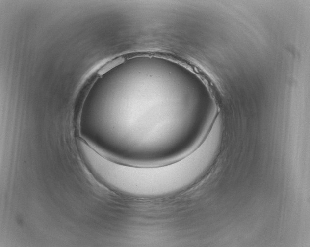 X0000115611452200911241606
