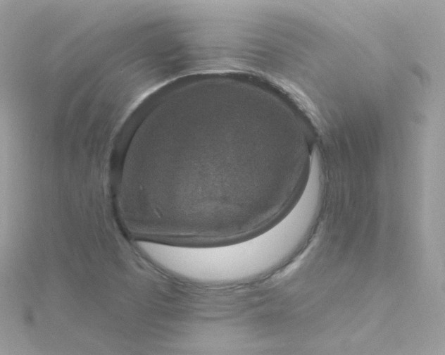 X0000115611457200911241606