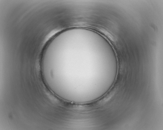 X0000115611458200911241606
