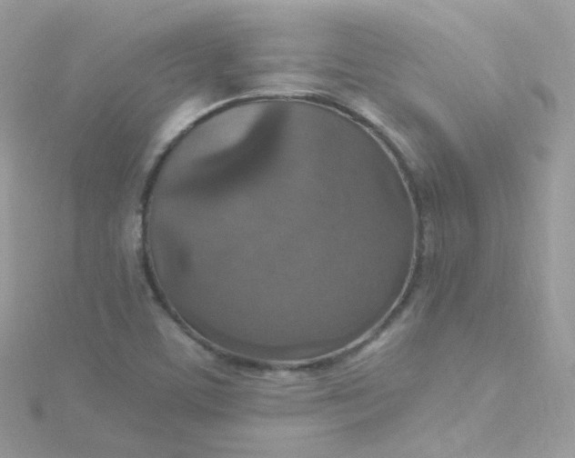 X0000115611459200911241606