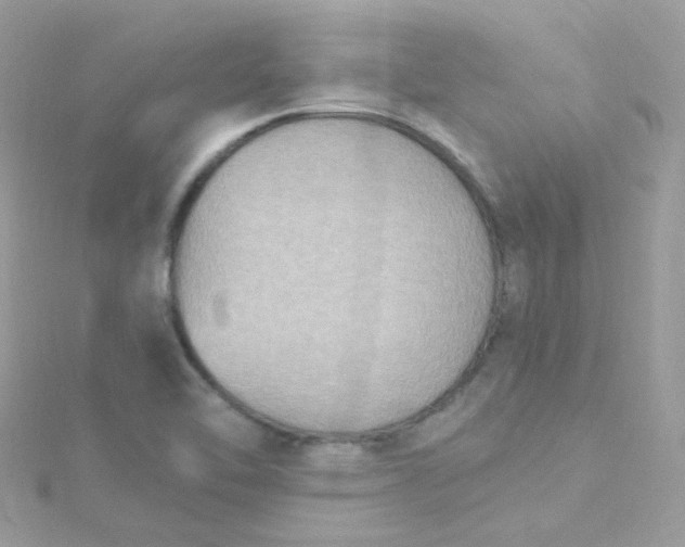 X0000115611462200911241606