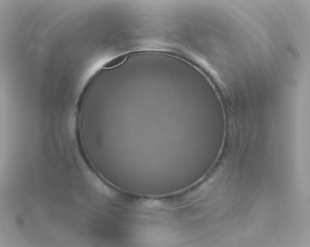 X0000115611463200911241606