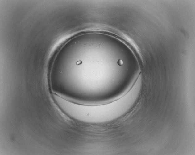 X0000115611464200911241606