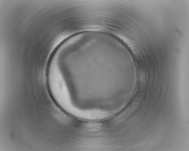 X0000115611466200911241606