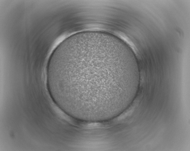 X0000115611467200911241606
