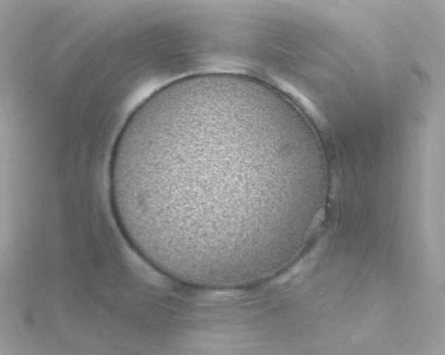 X0000115611471200911241606