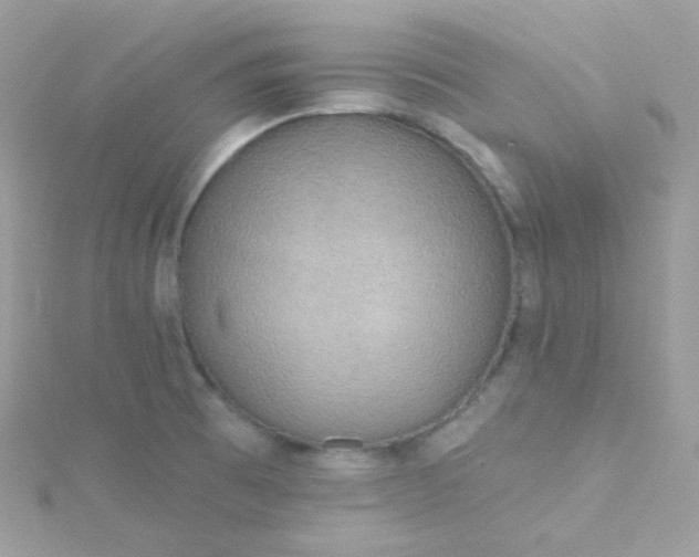 X0000115611473200911241606