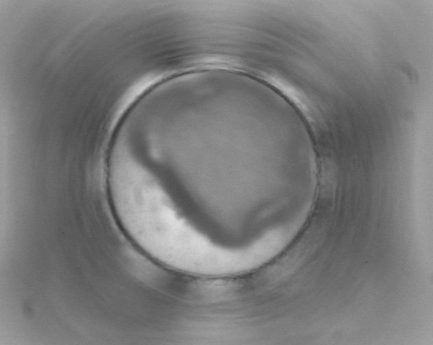 X0000115611474200911241606