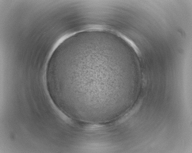 X0000115611475200911241606
