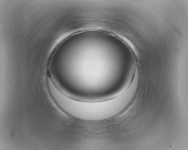 X0000115611477200911241606