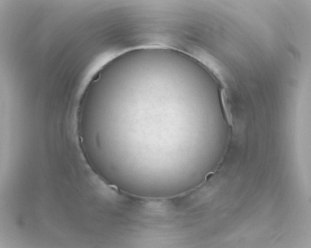 X0000115611480200911241605