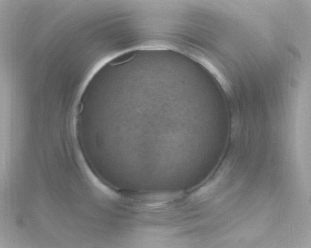 X0000115611484200911241605