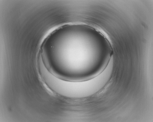 X0000115611485200911241605