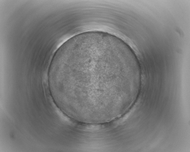 X0000115611521200911241605