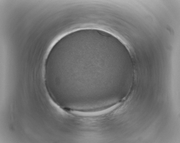 X0000115611527200911241605
