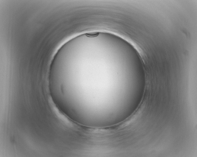 X0000115611534200911241605