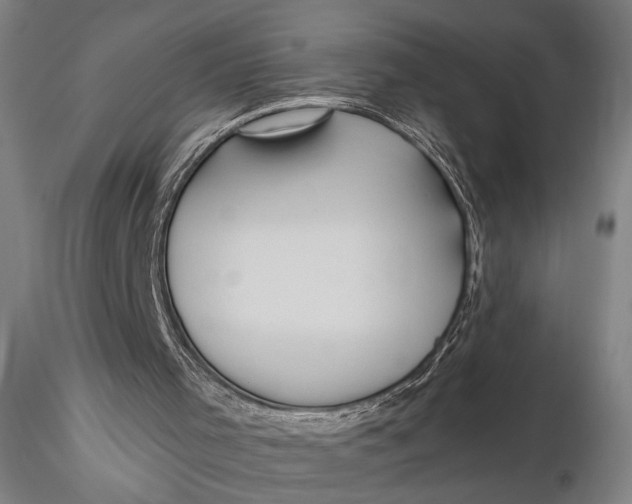 X0000115610001200912011602