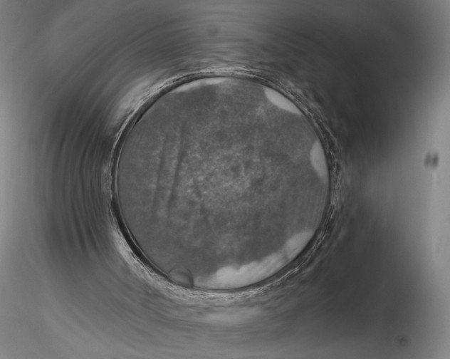 X0000115610002200912011602