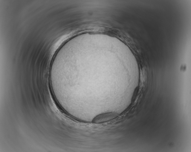 X0000115610003200912011602