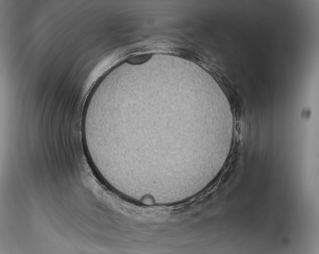 X0000115610004200912011602
