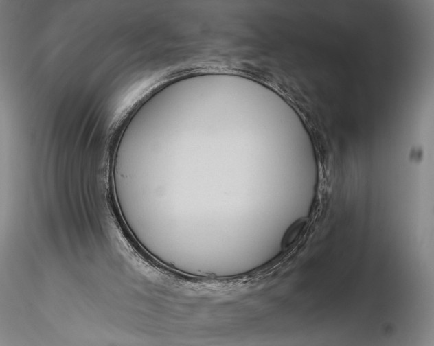 X0000115610005200912011602
