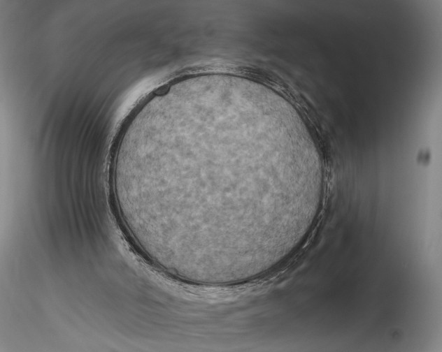 X0000115610006200912011602