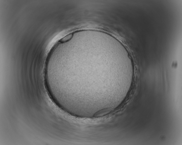 X0000115610007200912011602