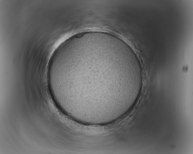 X0000115610008200912011602
