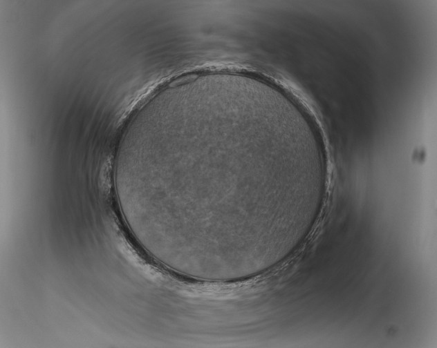 X0000115610009200912011602