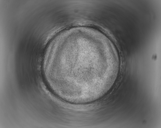 X0000115610010200912011602