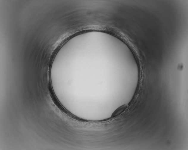 X0000115610011200912011602
