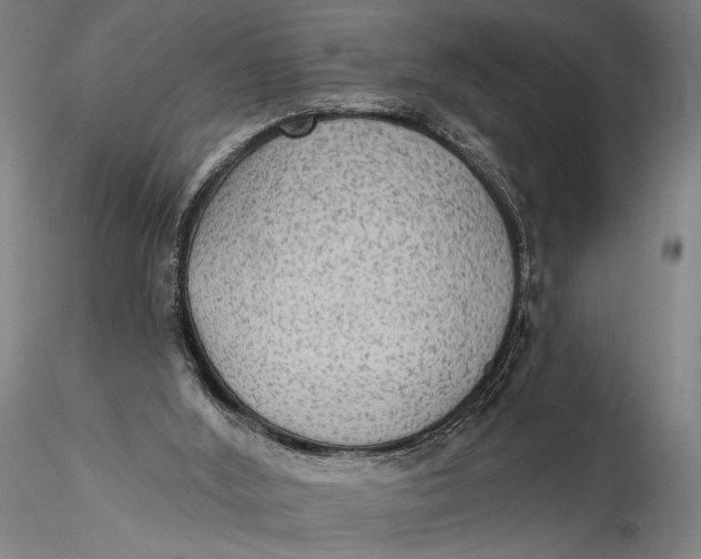 X0000115610012200912011602