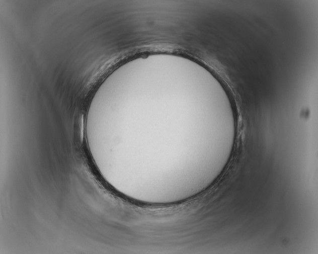 X0000115610013200912011602