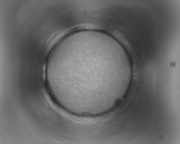 X0000115610014200912011602