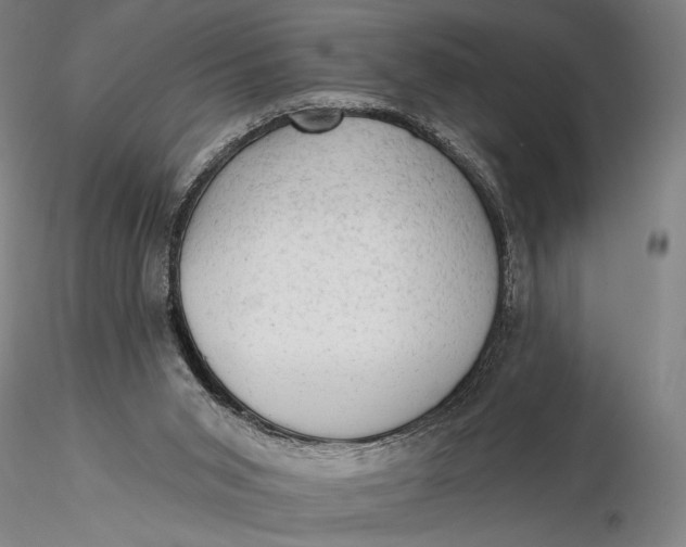 X0000115610015200912011602