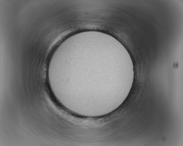 X0000115610016200912011602