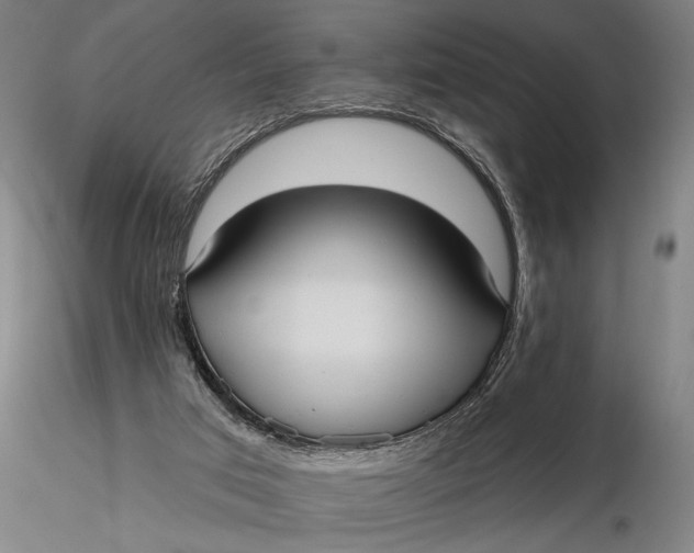 X0000115610017200912011602
