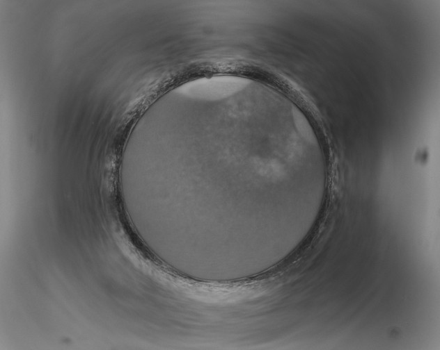 X0000115610018200912011602