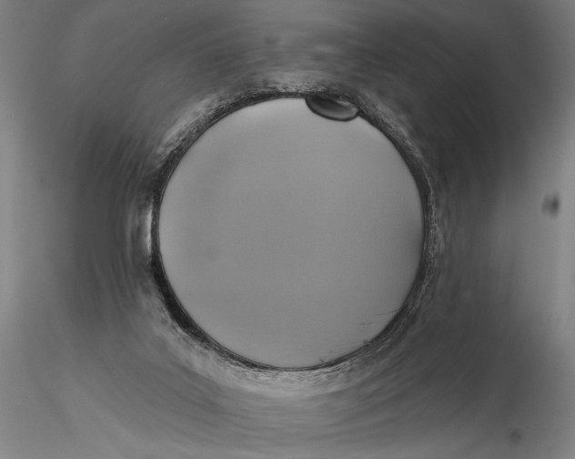 X0000115610019200912011602