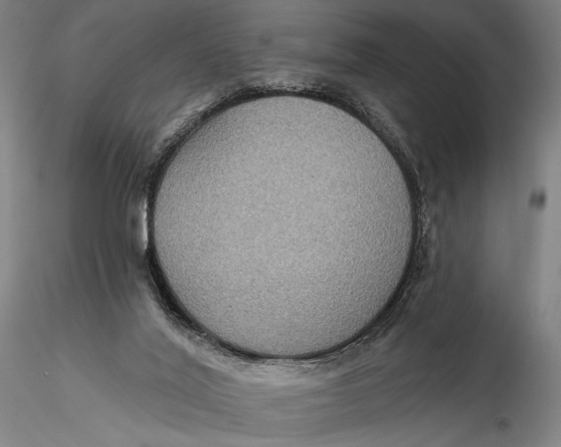 X0000115610020200912011602