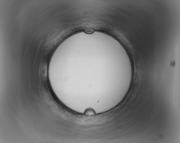 X0000115610021200912011602