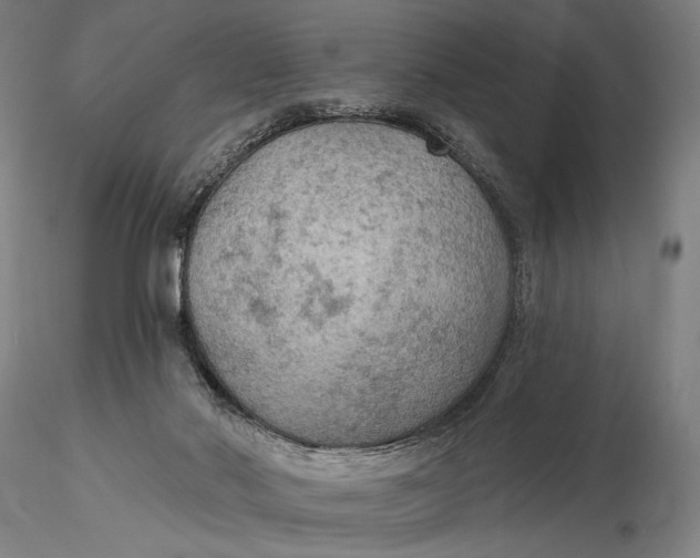 X0000115610022200912011602