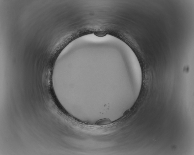 X0000115610023200912011602