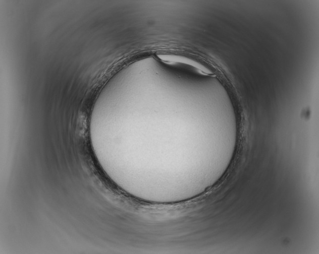 X0000115610025200912011602