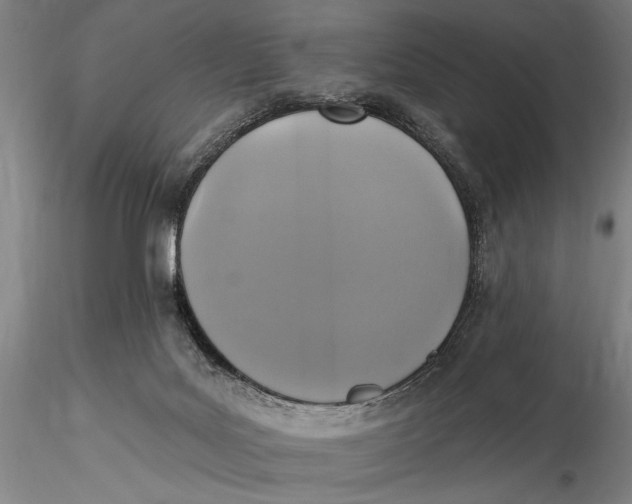 X0000115610027200912011602