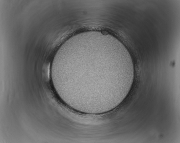 X0000115610028200912011602