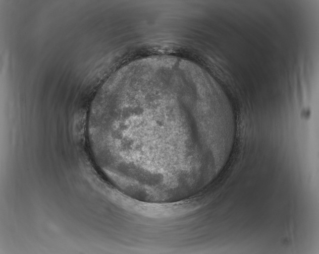 X0000115610030200912011602