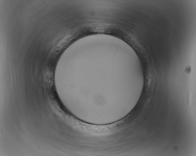 X0000115610031200912011602