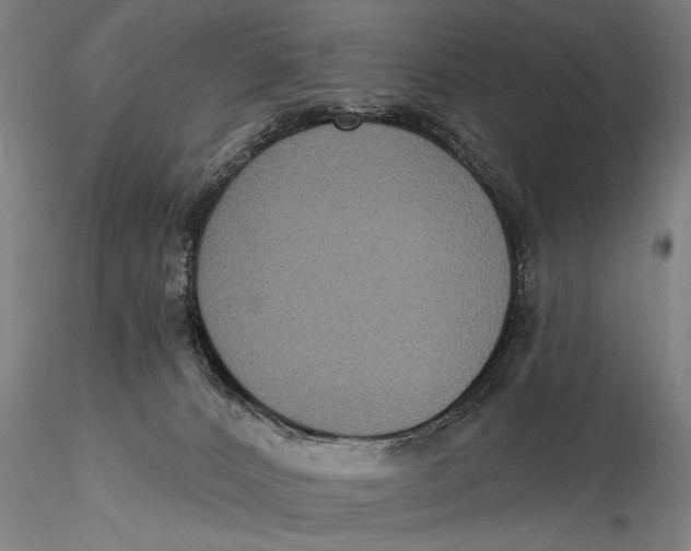 X0000115610032200912011602